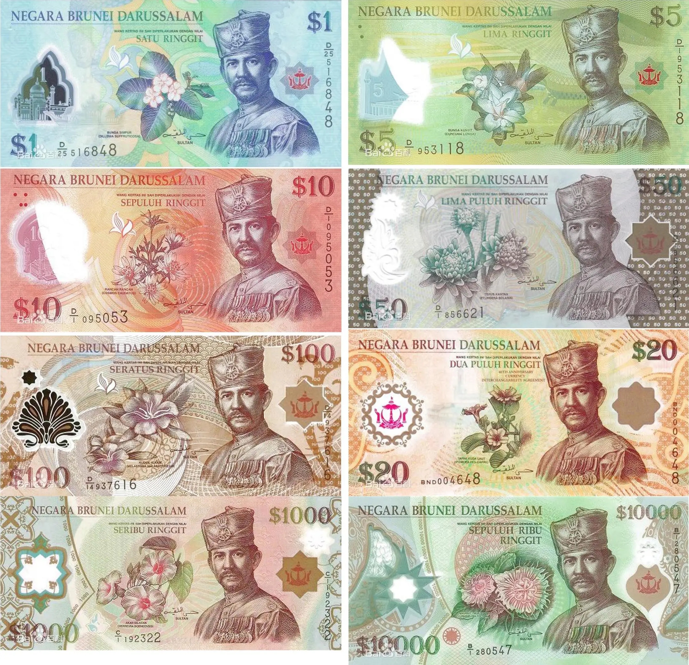 4马币等于多少人民币(450马币等于多少人民币)